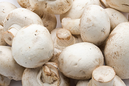 香农蘑菇食物蘑菇营养烹饪白色图片