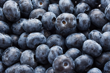 蓝莓甜点水果宏观营养浆果蓝色饮食团体食物覆盆子图片