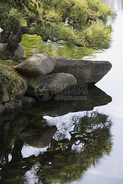 科萨马Korakuen花园的Pond地区岩石旅行设计分支机构景观绿化风景园林反射图片