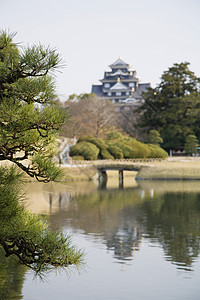 科萨马Korakuen花园的Pond乐园风景设计地区池塘花园旅行土地全景景观图片