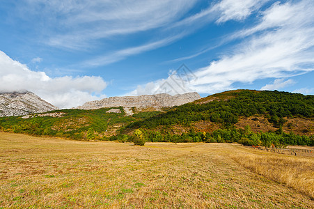 坎塔布里亚空地打扫顶峰场地岩石石头薄雾农田生态树木图片