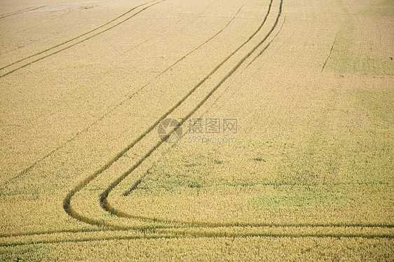 有轮胎标记的田地图片