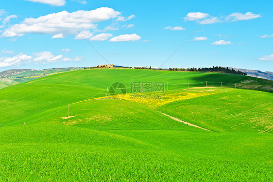 草地场地种子土地阳光小麦地面植物小路牧场房子图片