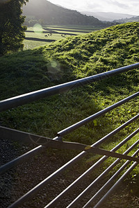 约克郡Dales Yorks郡英格兰图片