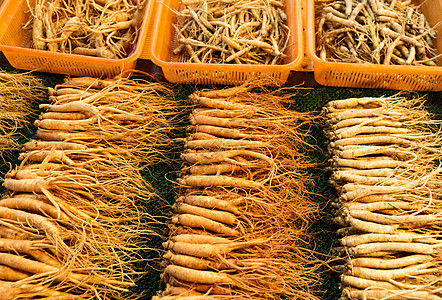韩国市场的新人参草本植物食物草本摊位药品美食香料蔬菜图片
