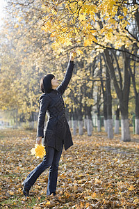 妇女从公园树上采集树叶图片