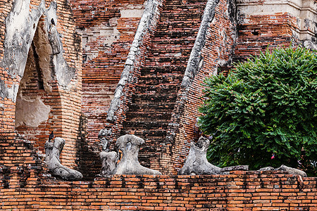 泰国Ayuttaya的Buddha断裂冥想寺庙裂缝历史国家建筑学团体宗教公园扫管图片