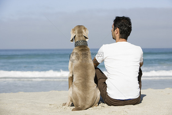 坐在沙滩上的男人和狗的近视波浪地平线海岸线海岸友谊逃离晴天团结孤独阳光图片