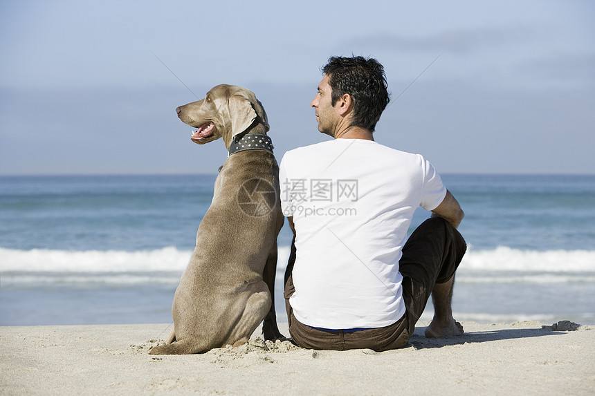 坐在沙滩上的男人和狗的近视海滩地平线海岸海岸线晴天逃离团结宠物天空阳光图片