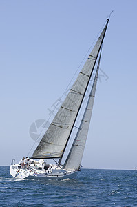 加利福尼亚州游艇赛队帆船比赛运动人员蓝天航海水车地平线三角形全体海洋日光图片