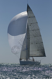 加利福尼亚州游艇赛队帆船比赛人员海洋运输水车旅行全体运动阳光三角帆微风图片
