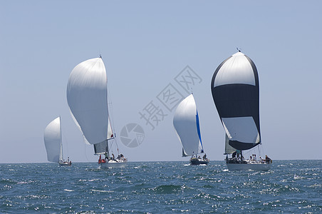 四艘游艇参加加利福尼亚州队帆船赛蓝天地平线天空三角帆帆船水车竞技黑与白比赛海洋图片