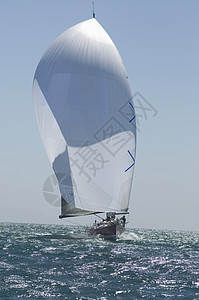 加利福尼亚州游艇赛队帆船比赛阳光水车日光海洋运动蓝天运输天空地平线旅行图片