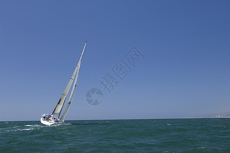加利福尼亚州游艇赛队帆船比赛蓝天航海日光地平线天空海洋运动水车图片