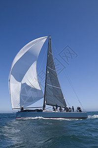 加利福尼亚州游艇赛队帆船比赛水车天空风力团队速度运动阳光海洋航海旅行图片