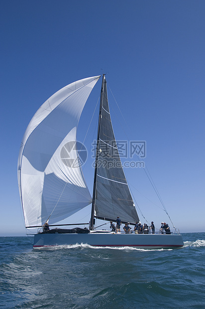 加利福尼亚州游艇赛队帆船比赛水车天空风力团队速度运动阳光海洋航海旅行图片