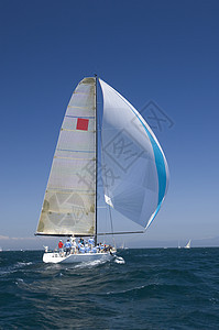 加利福尼亚州游艇赛队帆船比赛日光天空航海波浪地平线海洋三角帆运动团队风速图片