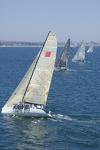 四艘游艇参加加利福尼亚州队帆船赛水车比赛帆船划船海洋竞赛航海四物运动海岸线图片