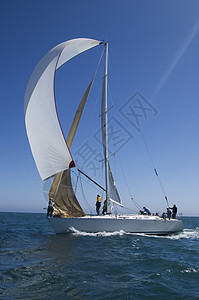 加利福尼亚州游艇赛队帆船比赛运输风力日光三角帆航海天空团队水车蓝天旅行图片