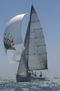 加利福尼亚州游艇赛队帆船比赛航海日光天空标识水车人员全体蓝天运动海洋图片