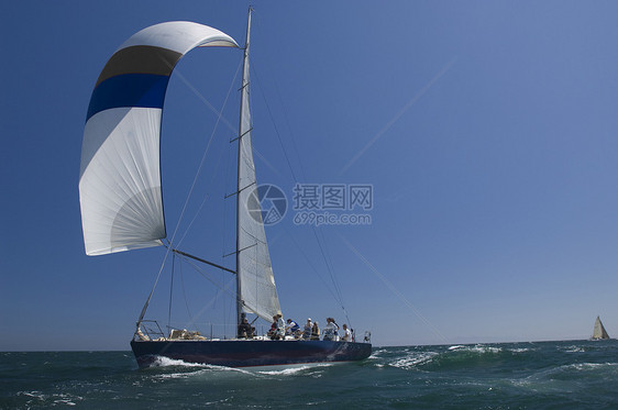 加利福尼亚州游艇赛队帆船比赛水车运动海洋风力蓝天团队航海运输日光地平线图片