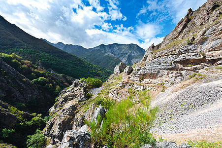 山场地树木农场树林岩石草地植物山峰顶峰空地图片