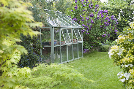 温室后花园 有开放的通风窗户建筑灌木丛结构草地玻璃园艺英语玻璃板园林外观图片