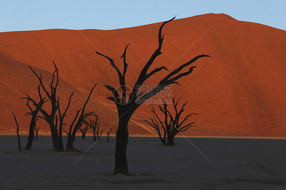 Vlei Namib死亡沙漠 纳米比亚橙色背景沙丘摄影死亡裂缝里策沙漠水平破坏图片