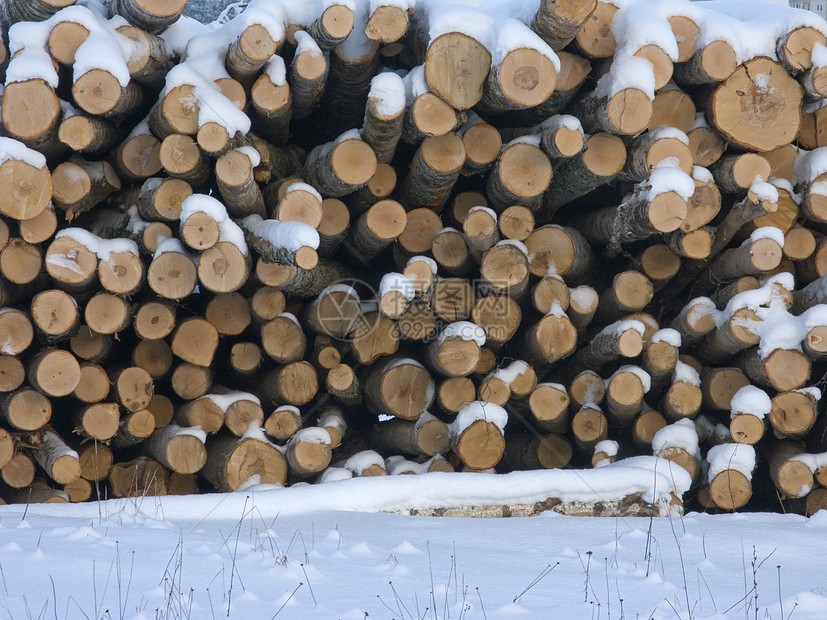 冬季的原木堆放图片
