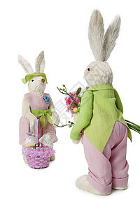 带花花束和白底篮子的男女兔 以及白本图片