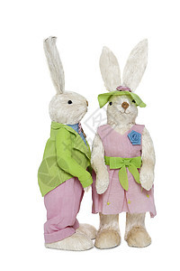 男性和女性兔子站在白色背景上站立图片