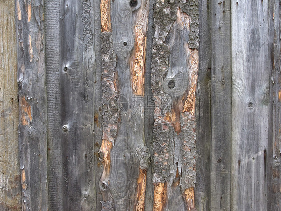 气象化芯片木木背景图片