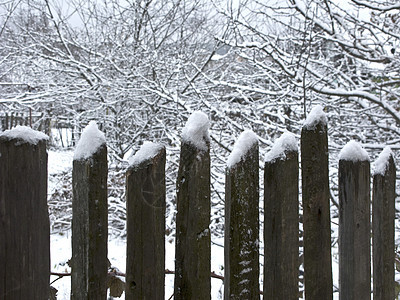 雪下旧木墙图片