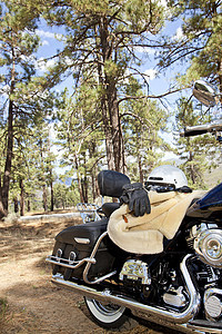 在森林环境里骑着手套和夹克的摩托车阳光旅行农村头盔国家机车自由树木自行车图片