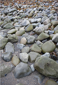 爱尔兰海滩海滩上的石头图片