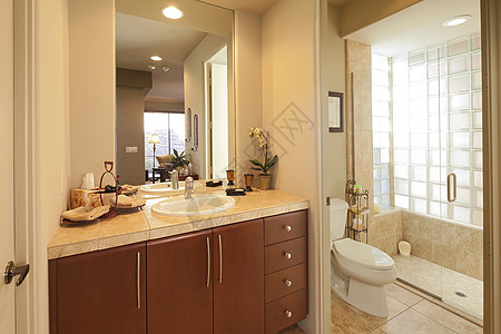 古典洗手间淋浴房场景淋浴贮存房间毛巾浴室玻璃奢华图片