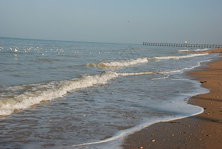 桑迪海滩海洋海岸图片