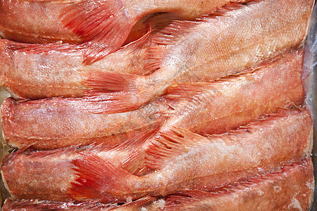 新捕到的红鱼全框架镜头食品加工特价画幅食品健康饮食动物海鲜零售保鲜渔业图片