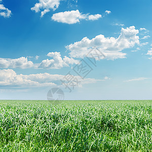 绿地上阴云的天空场地风景地平线草原土地地面场景植物群阳光农场图片