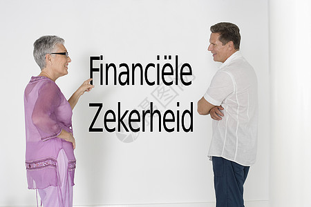 用荷兰文“financi'”来讨论针对白墙的财政保障问题图片