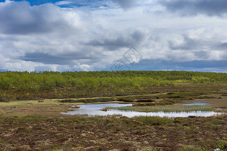 夏天在拉普兰沼泽地上空有云蓝的天空图片