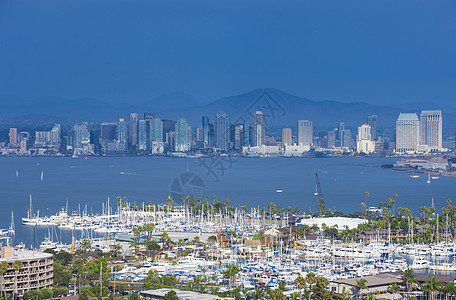 圣地亚哥天际地标树木城市手掌摩天大楼反射海洋建筑学场景全景图片