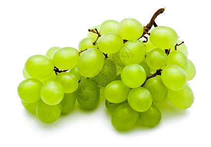 葡萄绿色食物甜点营养白色农业收成藤蔓水果酒厂图片