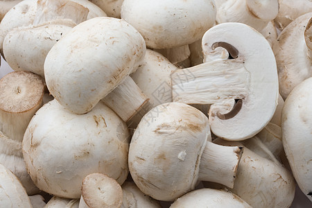 香农蘑菇营养白色烹饪蘑菇食物图片