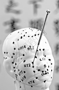 针灸头模型工作室治疗保健医疗学习中医身体白色工具宏观图片