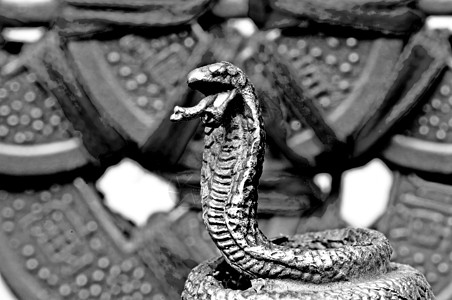 蛇风水一年硬币吉祥雕塑预报精神增强剂安全物品繁荣文化图片