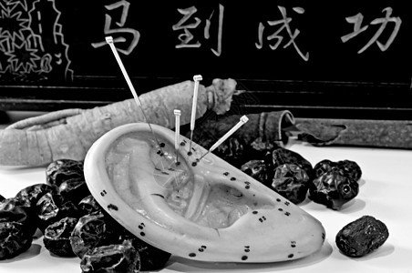 针头 耳模和中国草药黑与白宏观中医治疗药品草本植物康复保健工作室白色图片