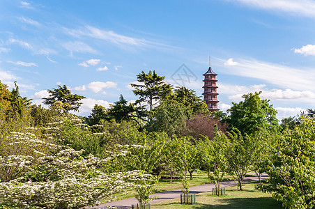 树木 小巷和塔晴天宝塔旅行天空公园蓝色花园旅游历史性王国图片