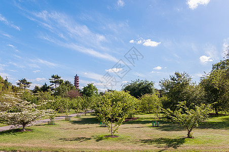 树木 小巷和塔植物公园旅游地标建筑王国晴天宝塔文化花园图片