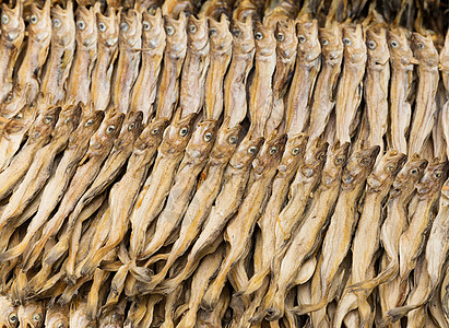 干咸咸鱼市场美食盐渍海鲜腌鱼国王背景图片